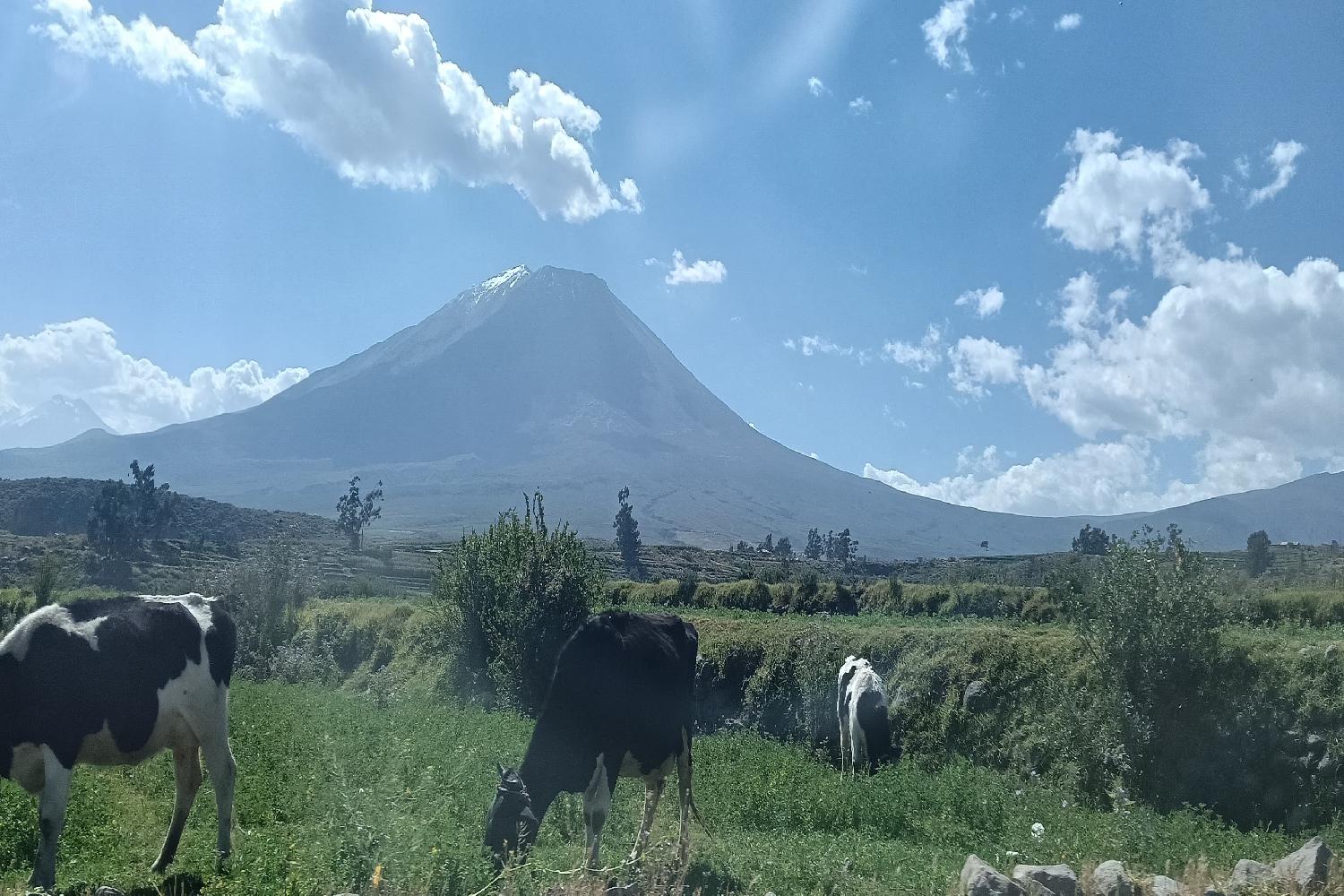 RESERVA NACIONAL SALINAS Y AGUADA BLANCA